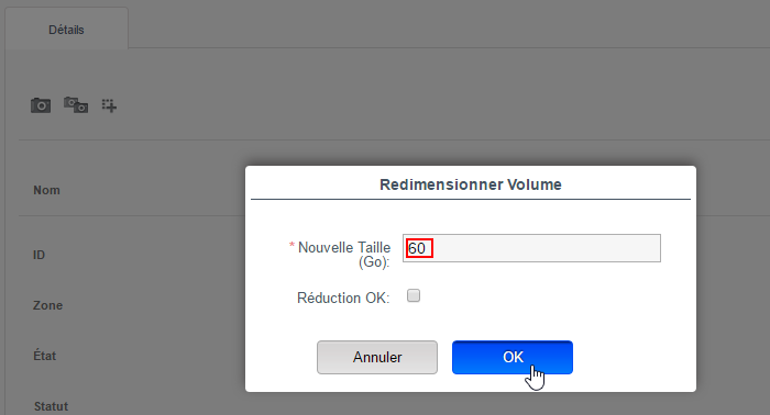Resize rootdisk cloudikoula 5.png